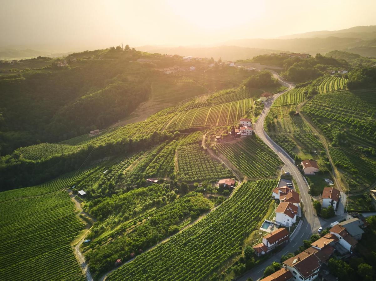 Kojsko Peterc Vineyard Estate B&B 외부 사진