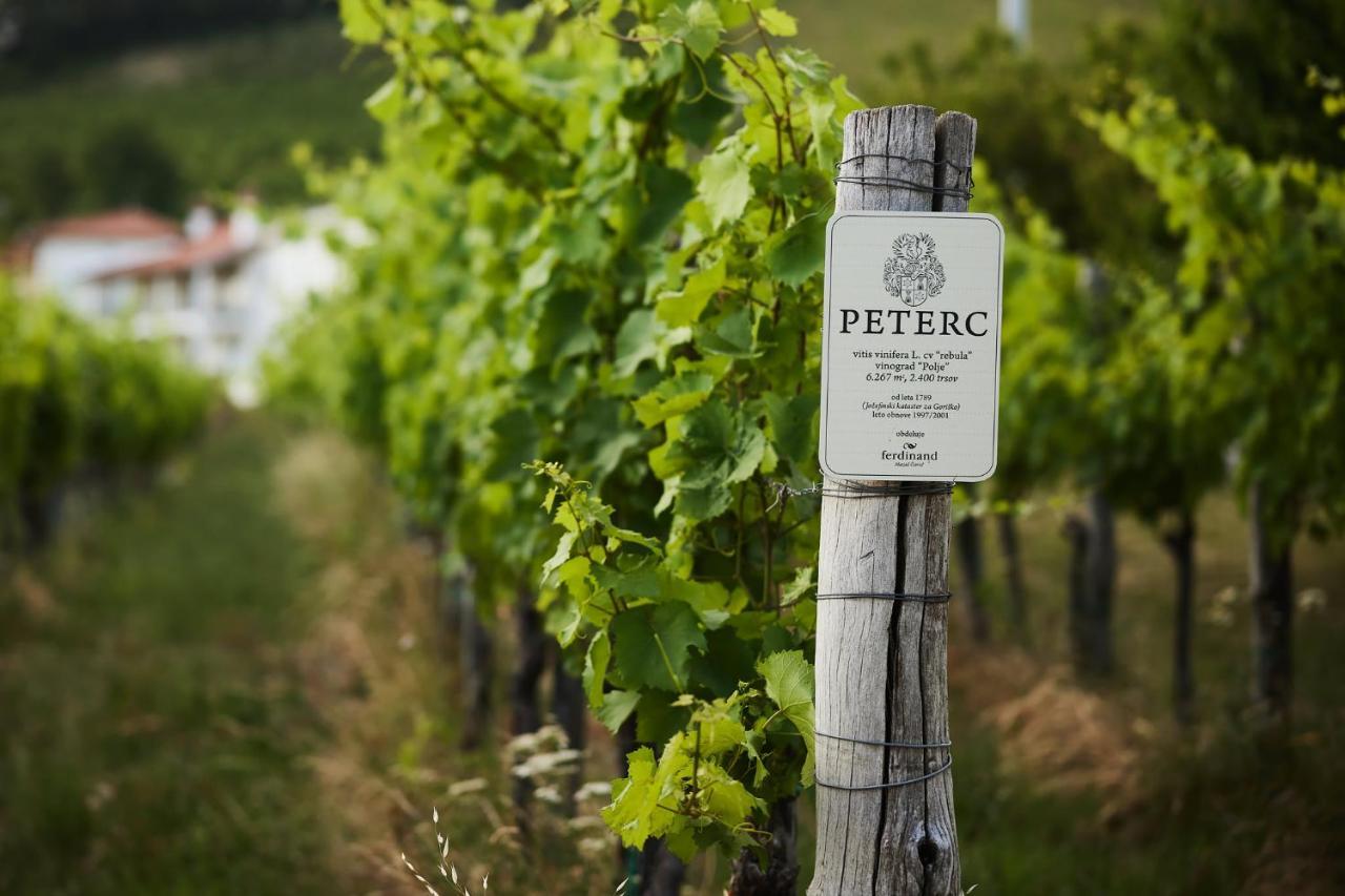 Kojsko Peterc Vineyard Estate B&B 외부 사진
