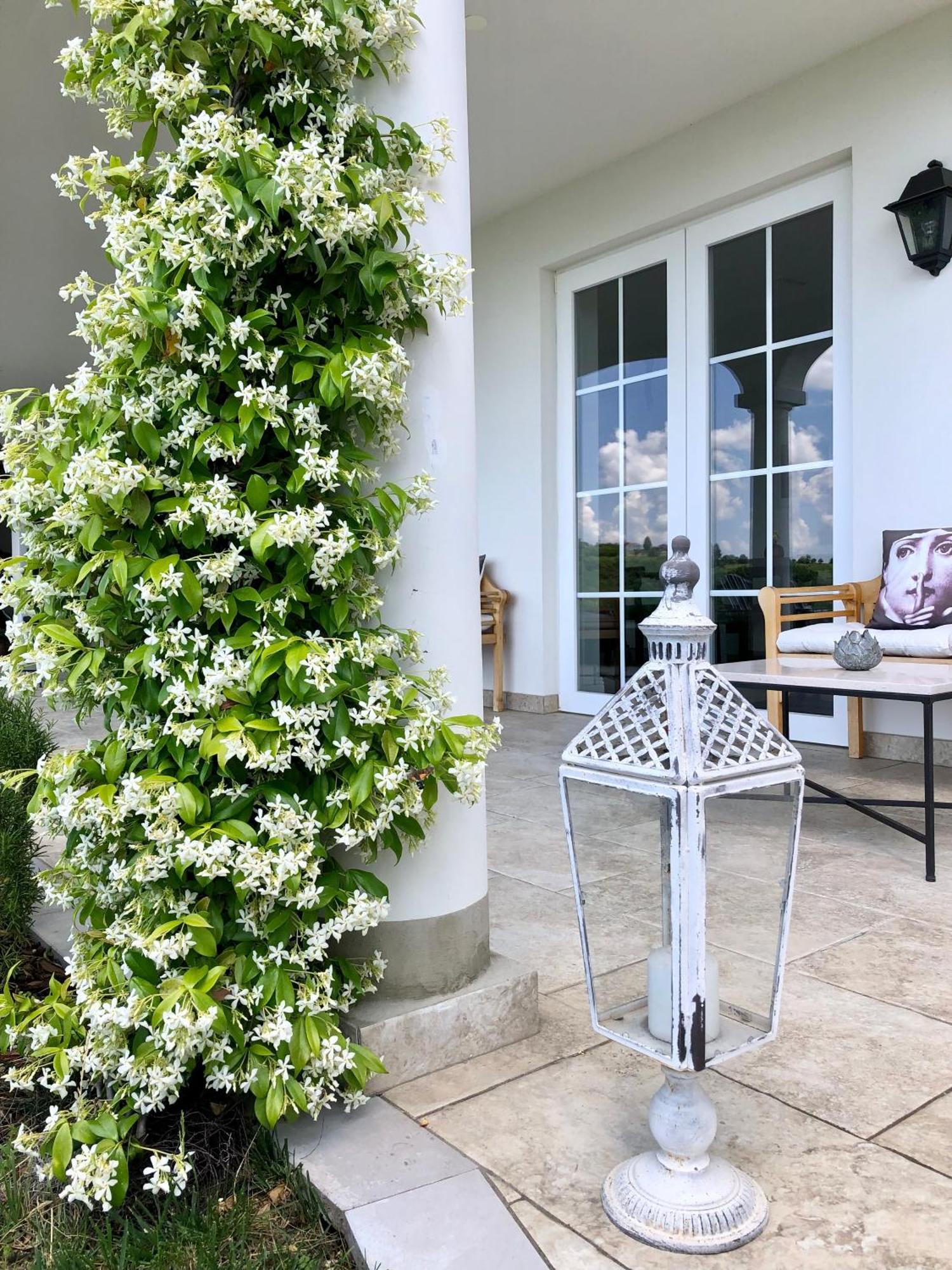 Kojsko Peterc Vineyard Estate B&B 외부 사진