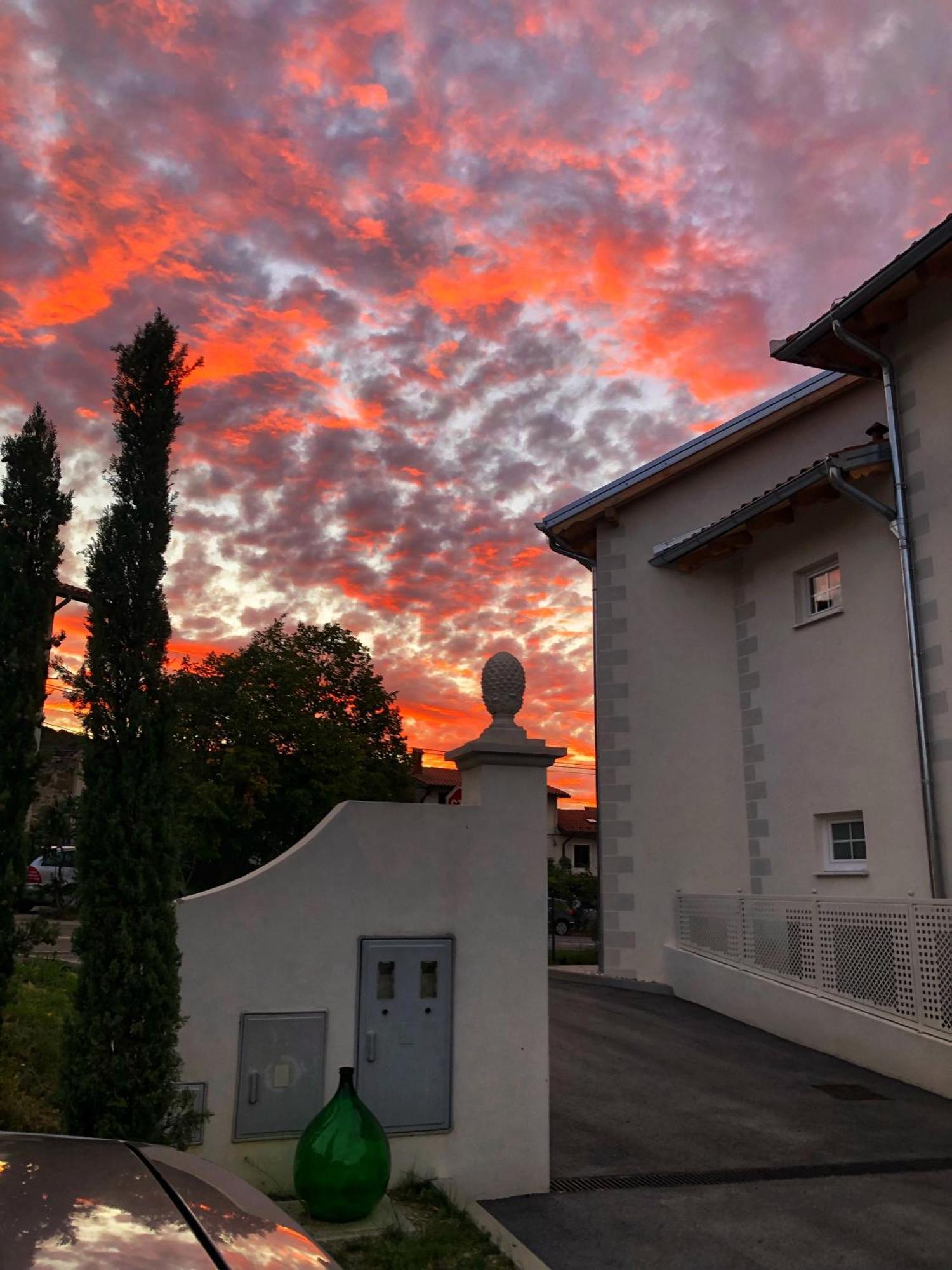Kojsko Peterc Vineyard Estate B&B 외부 사진